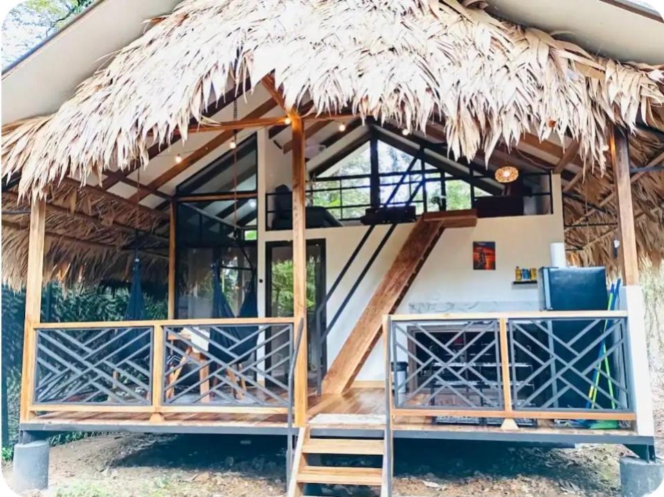 Evolution House Jungle Oasis Villa Hone Creek Eksteriør bilde