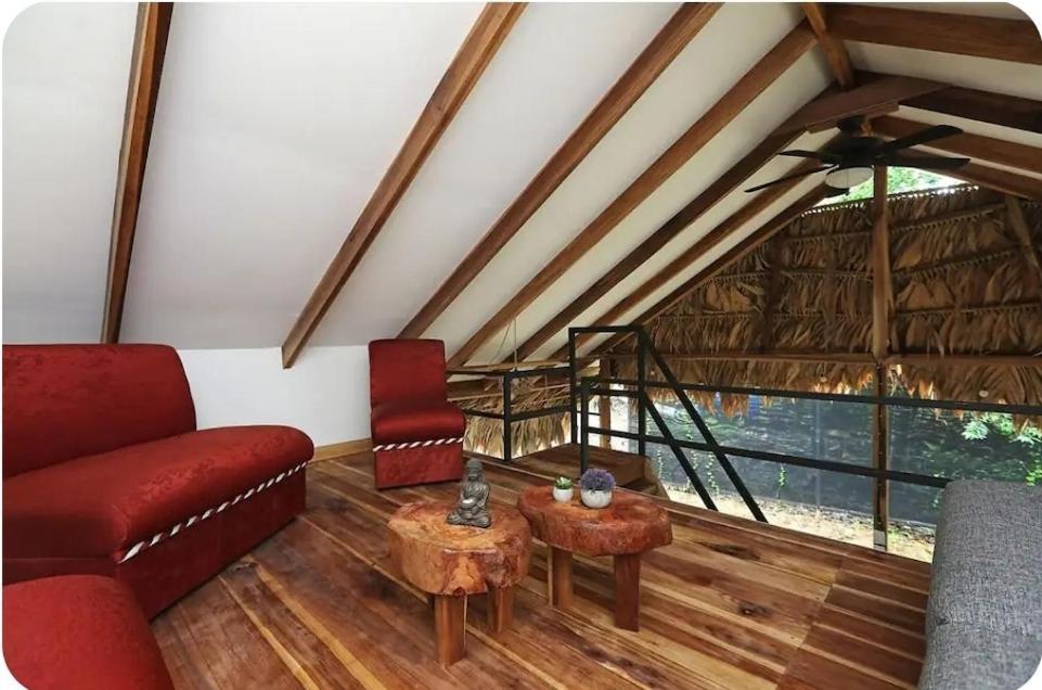 Evolution House Jungle Oasis Villa Hone Creek Eksteriør bilde