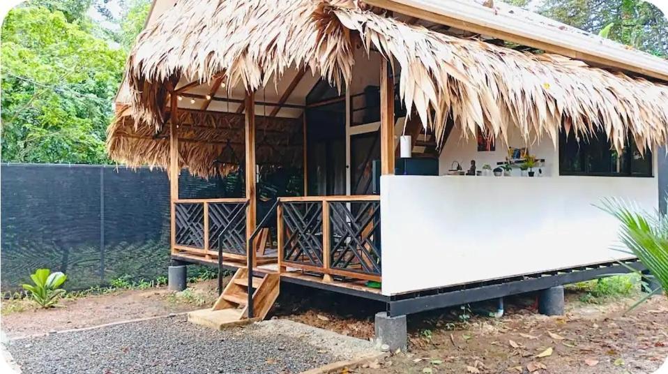 Evolution House Jungle Oasis Villa Hone Creek Eksteriør bilde