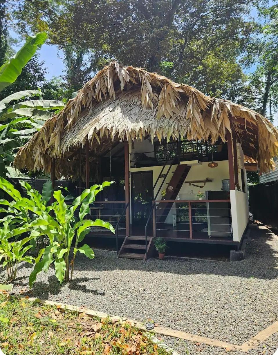 Evolution House Jungle Oasis Villa Hone Creek Eksteriør bilde