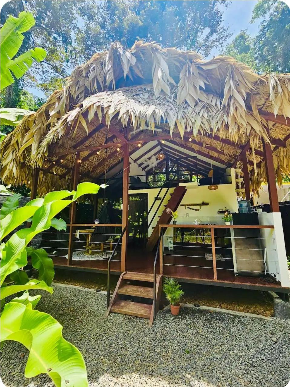 Evolution House Jungle Oasis Villa Hone Creek Eksteriør bilde