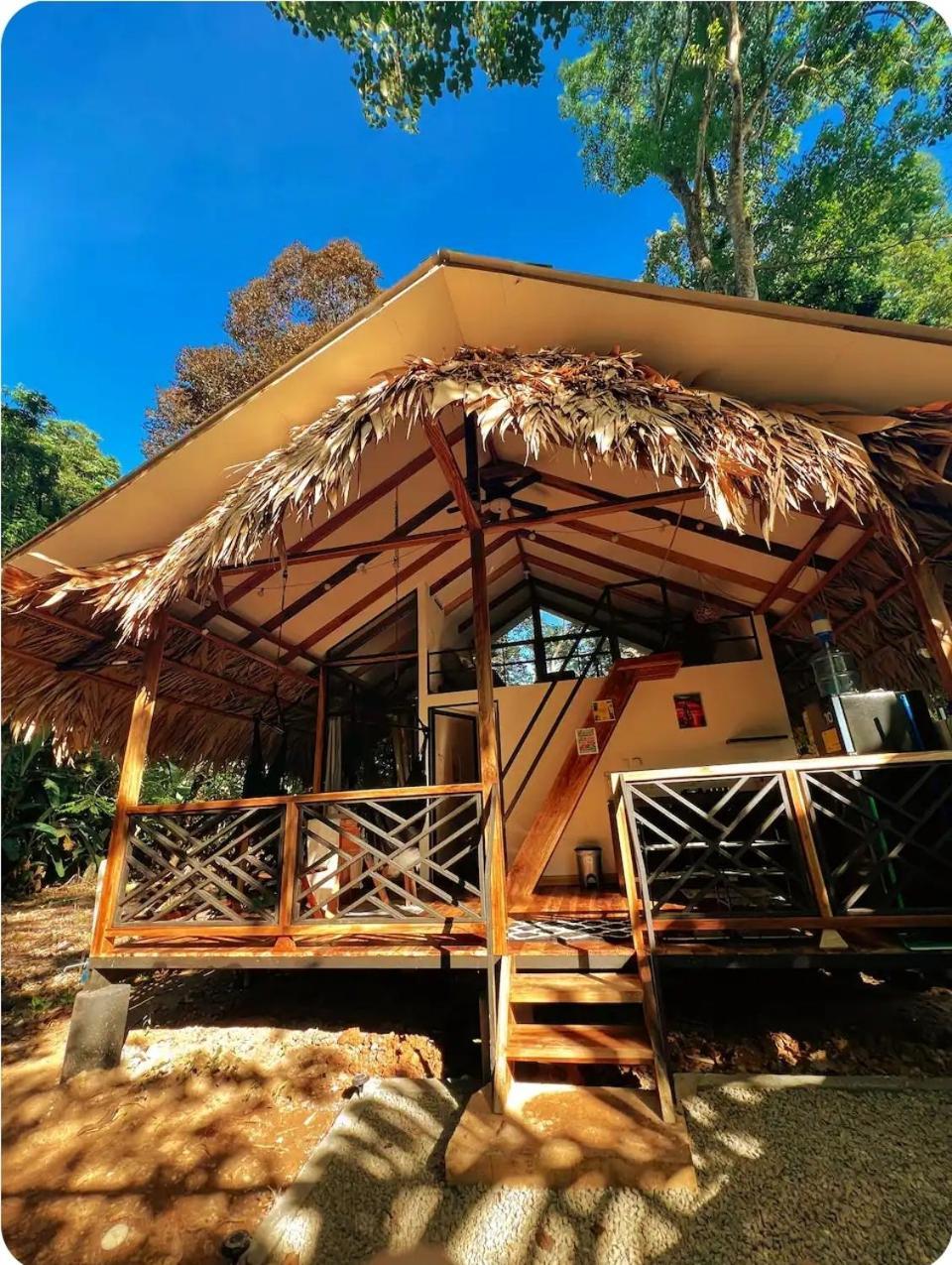 Evolution House Jungle Oasis Villa Hone Creek Eksteriør bilde