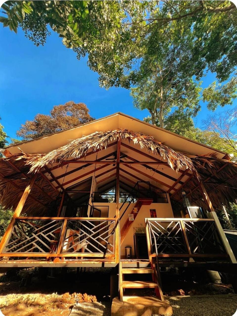 Evolution House Jungle Oasis Villa Hone Creek Eksteriør bilde