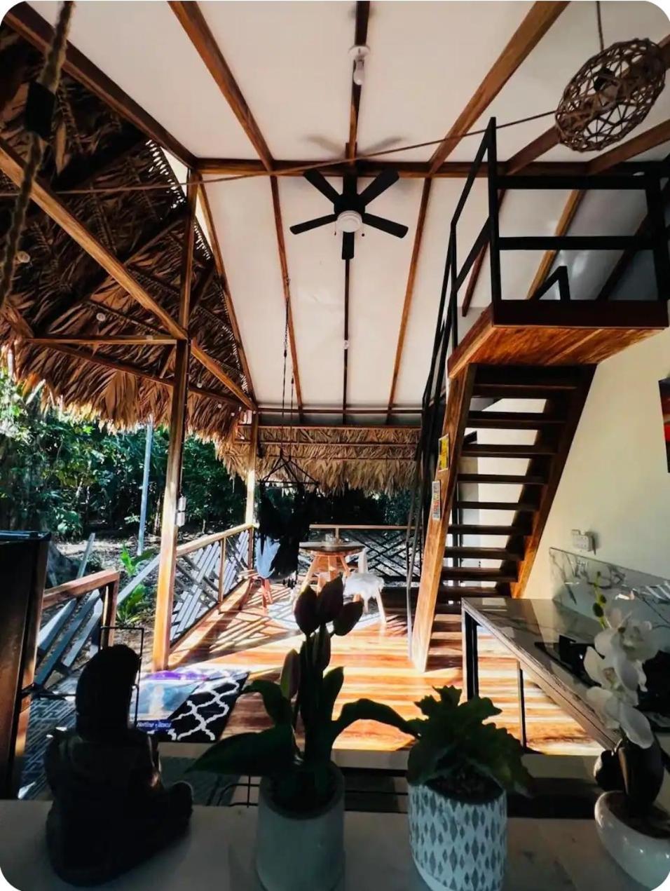 Evolution House Jungle Oasis Villa Hone Creek Eksteriør bilde